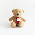 Personalized Christmas Teddy - Red